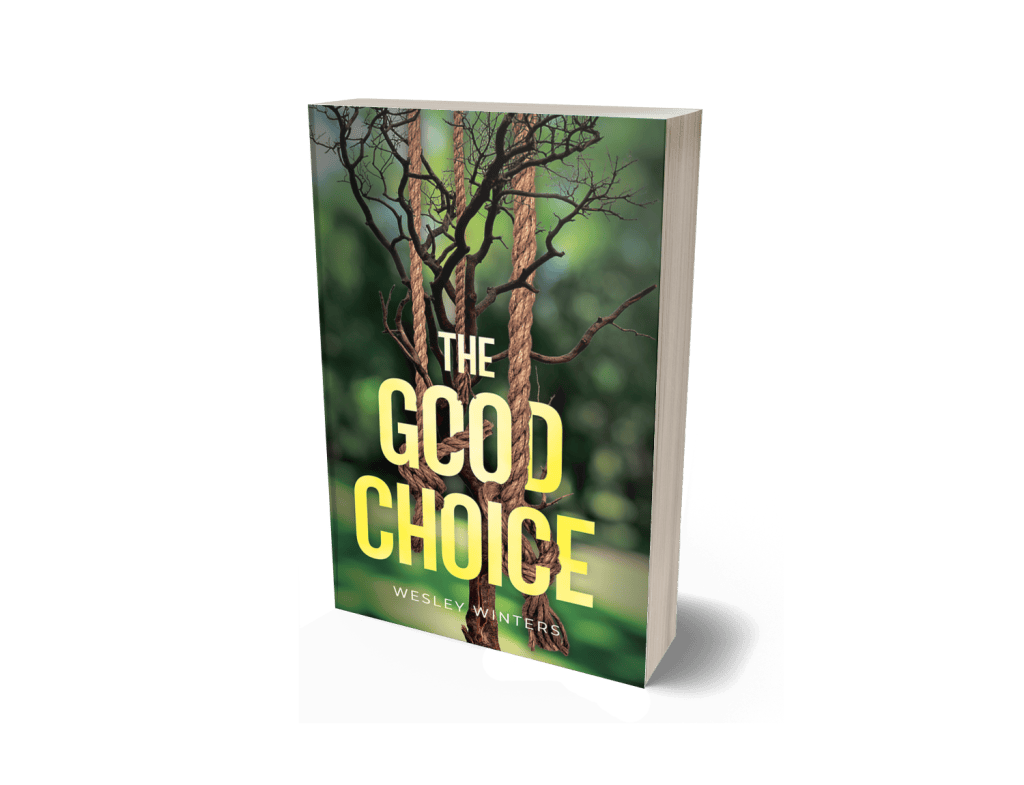 The Good Choice (Series: Stone Falls)